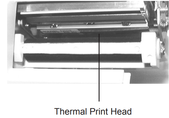 cleaning_the_print_head_globe_label_printing_scale_gsp30b.png