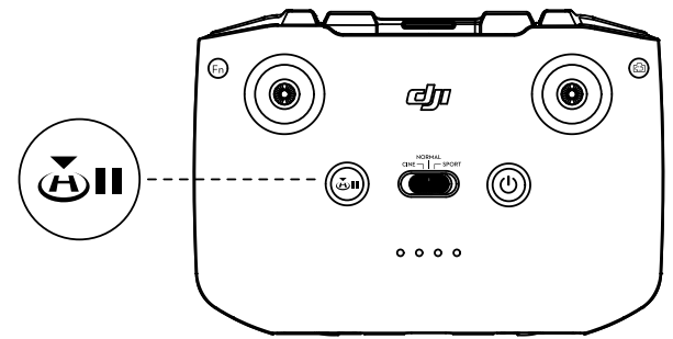 flight_pause_dji_drone_mavic_air_2.png