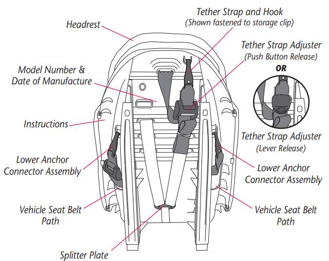 evenflo_maestro_rightfit_belt_path_visual_glossary.png