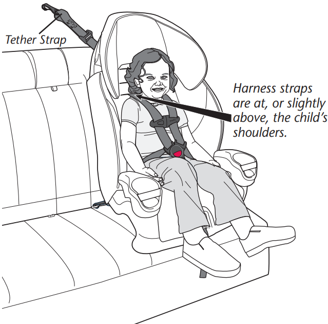 internal_5-pt_harness_evenflo_maestro_rightfit_belt_path.png