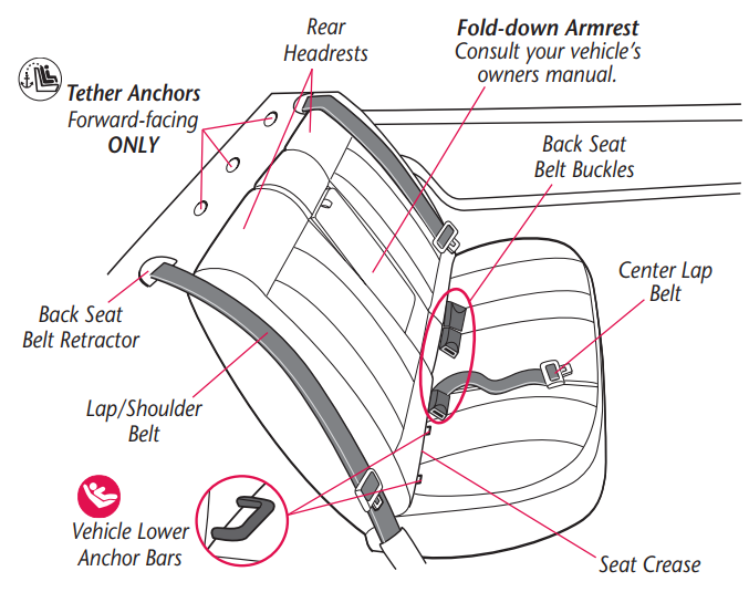 visual_glossary_evenflo_maestro_rightfit_belt_path.png