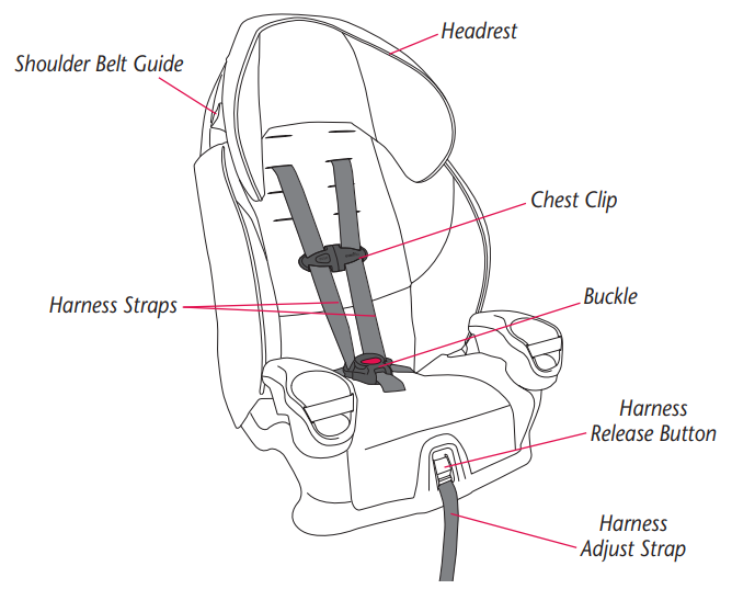 visual_glossary_of_the_evenflo_maestro_rightfit_belt_path.png