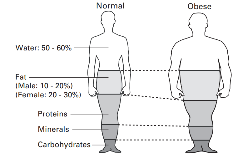 ratio_of_the_body_consituents_omron_body_fat_monitor_hbf-306.png