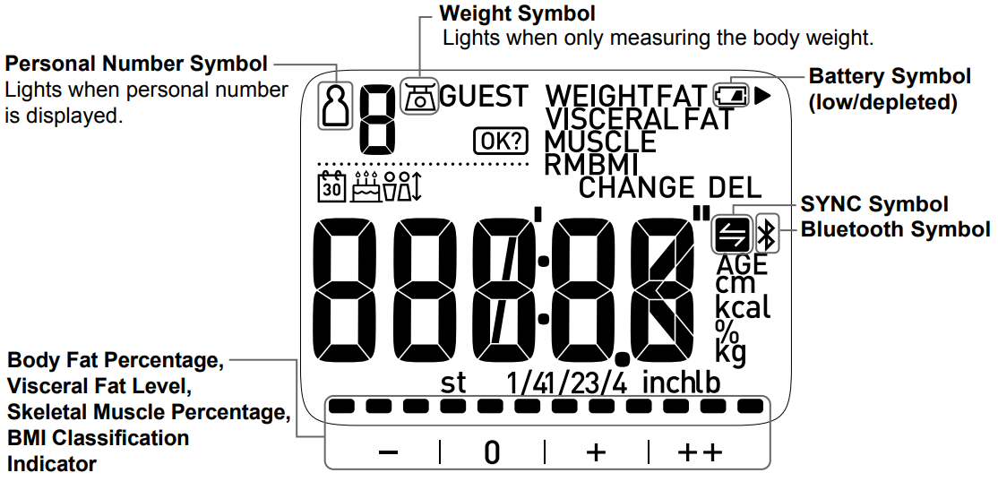 display_omron_body_composition_monitor_hbf-222t.png