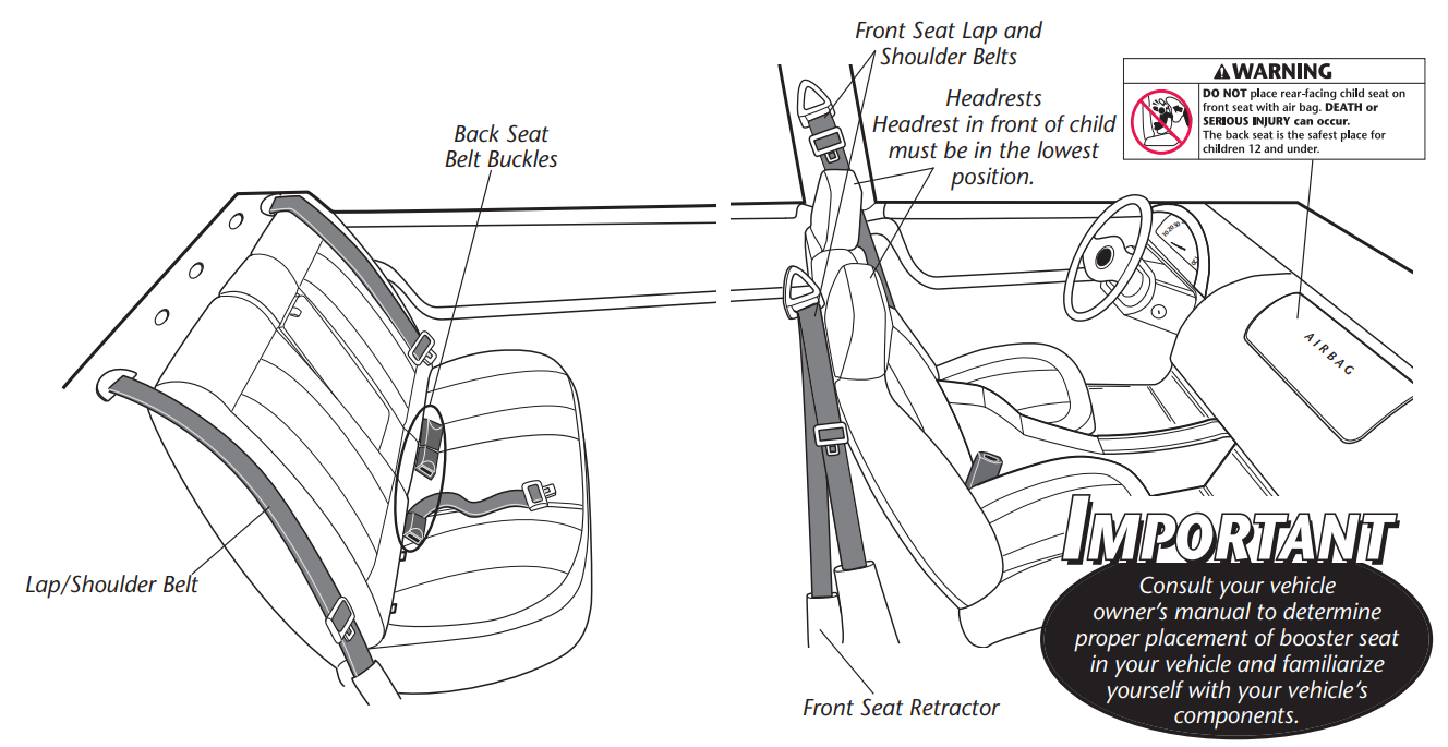 visual_glossary_evenflo_amp_no-back_booster_car_seat.png