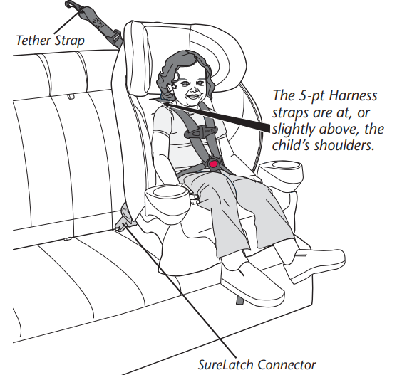 important_evenflo_secure_kid_child_restraint.png