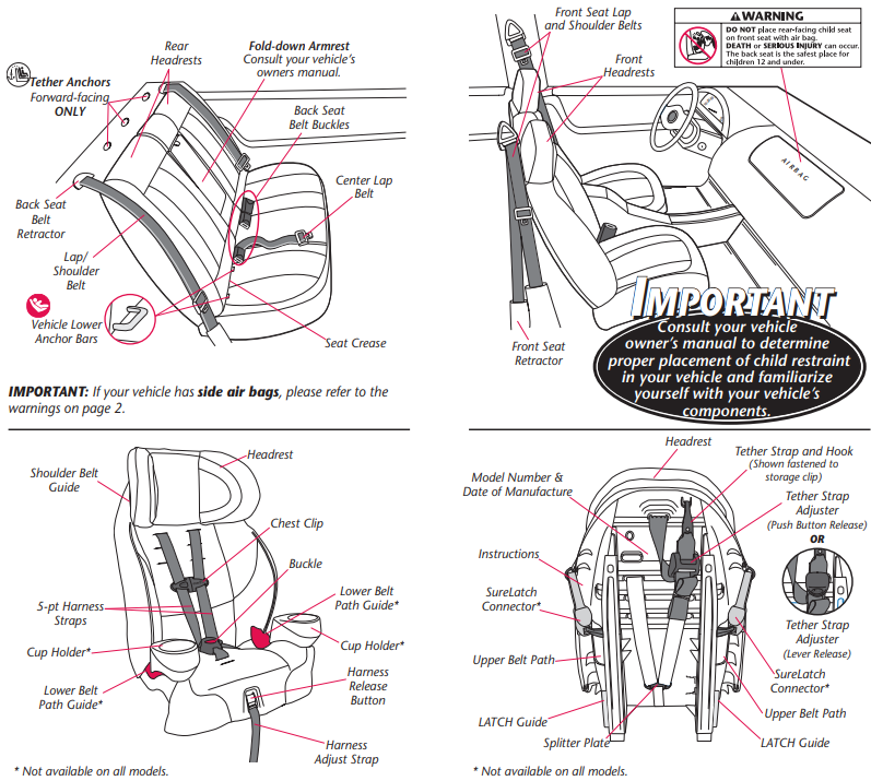 visual_glossary_evenflo_secure_kid_child_restraint.png