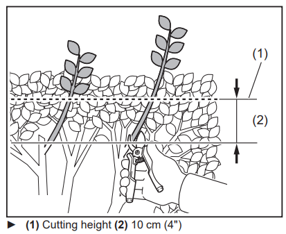 operating_the_tool_makita_pole_hedge_trimmer_xnu05.png