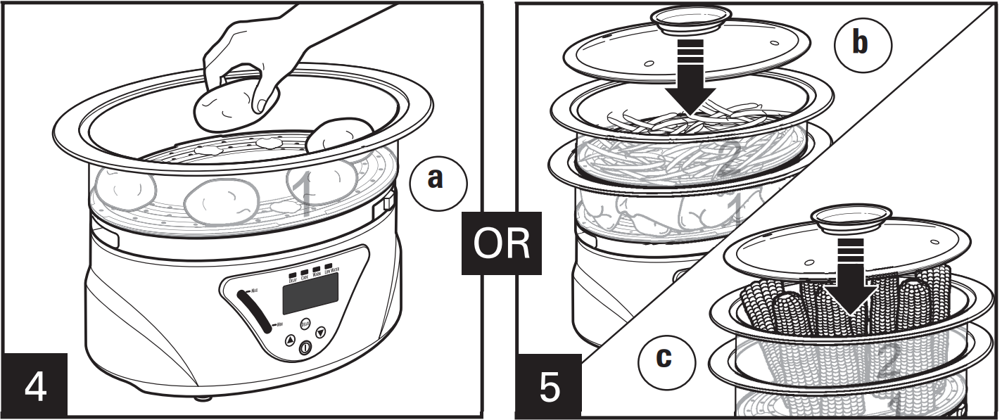 how_to_steam_take_in_hamilton_beach_digital_food_steamer_37530.png