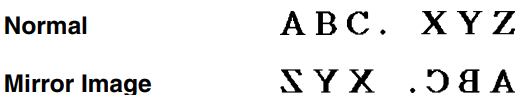 mirror_image_printing_casio_2_line_label_printer_kl-750.png