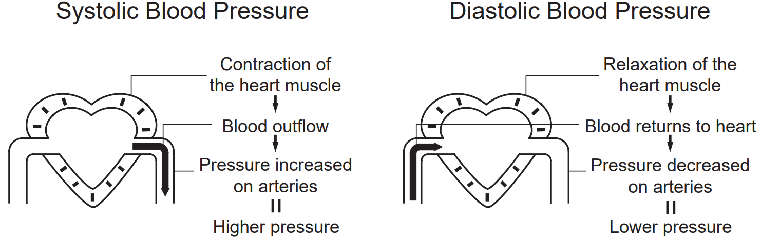 blood_circulation_ozeri_automatic_wrist_bp_monitor_bp5k.png