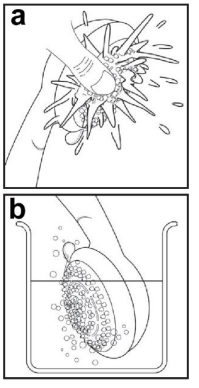 how_to_maintain_your_shower_redring_expressions_revive_plus_shower_spares.png