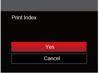 print_index_kodak_digital_camera_pixpro_az401.png