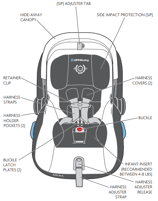 overview_of_base_of_the.png