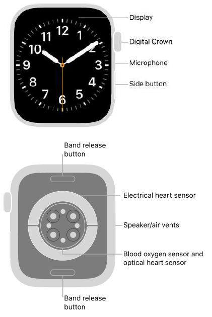 overview_apple_watch_series_8_smart_fitness.png