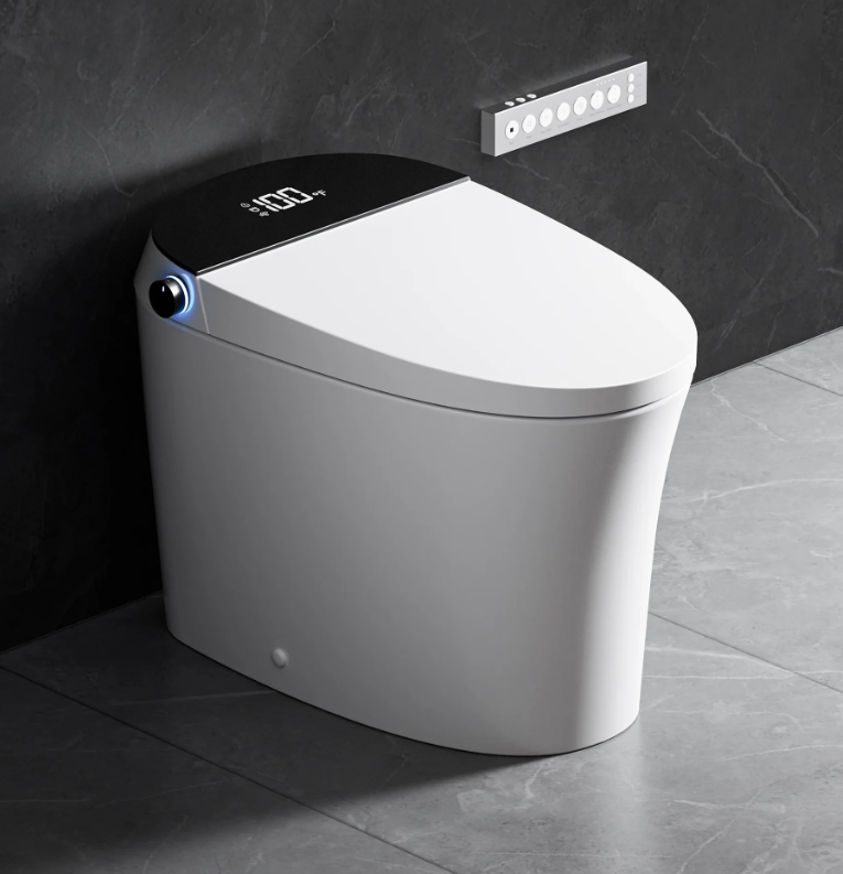 Canesthome Smart Bidet Toilet TC-100GE-product