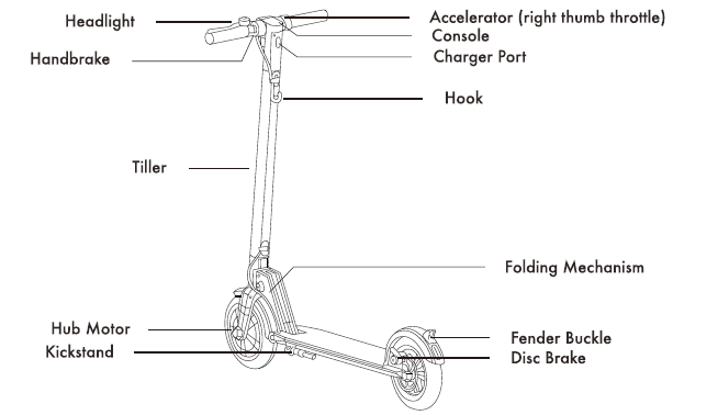 Gotrax Electric Scooter GXL V2-features
