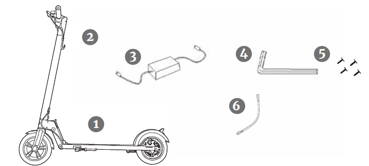 Gotrax Electric Scooter GXL V2-Unpack