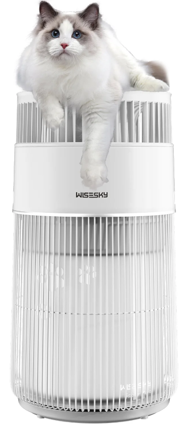 wisesky Air Purifier WS360A-product