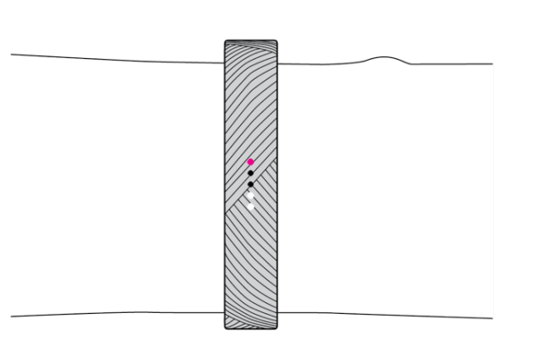 Fitbit Flex 2 Wristband-activity