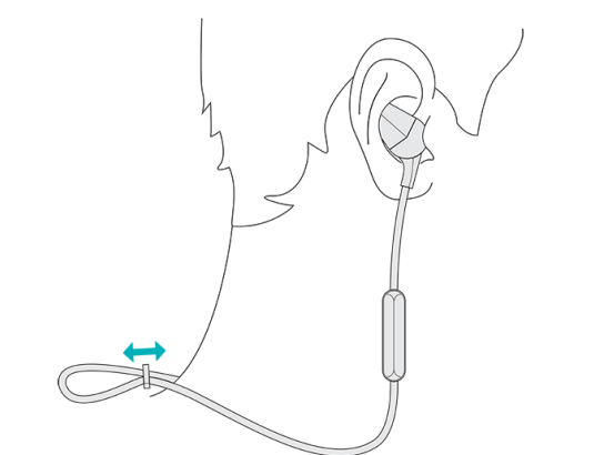 Fitbit Flyer Headphones Premium Wireless Audio for Fitness Enthusiasts-setting-g