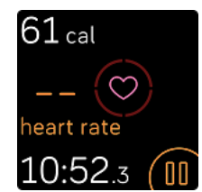 Fitbit Versa 2 Wrist Watch-troubleshoot