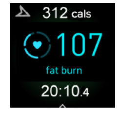 Fitbit Sense 2 Wrist Watch--GPS signal missing A