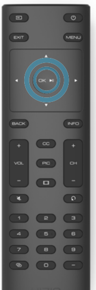 Vizio SmartCast Display-SETUP-C