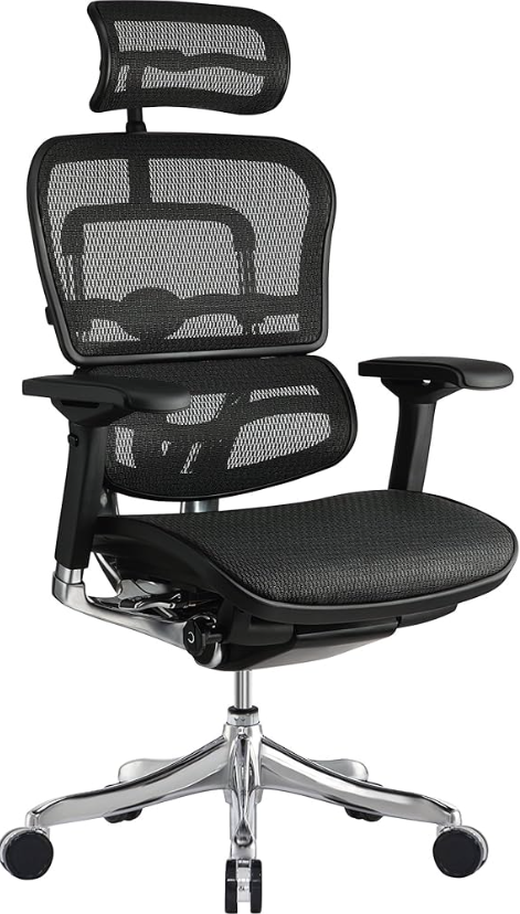 Eurotech Ergohuman Elite High-Back Chair-product