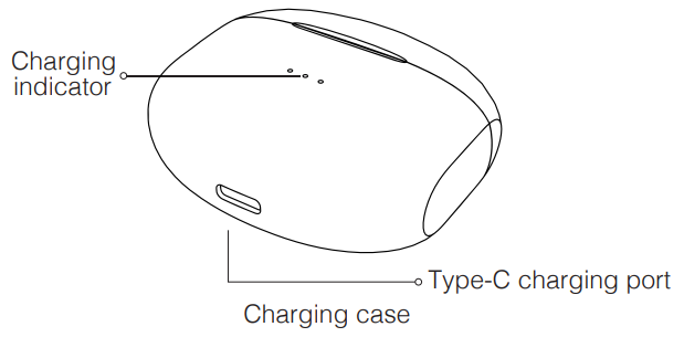 Qro Classics Wireless Earbuds-charging