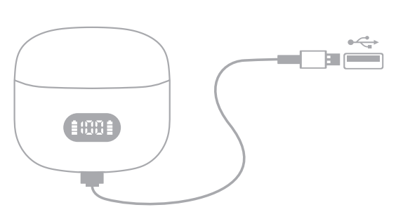 Capoxo H06 Earbuds-Type-C Charging