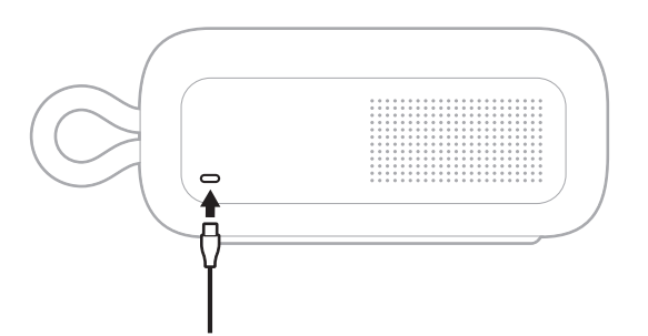 bose Soundlink Plus Portable Speaker-setup