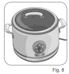 Ariete Rice Cooker 2904-INSTRUCTIONS FOR USE H