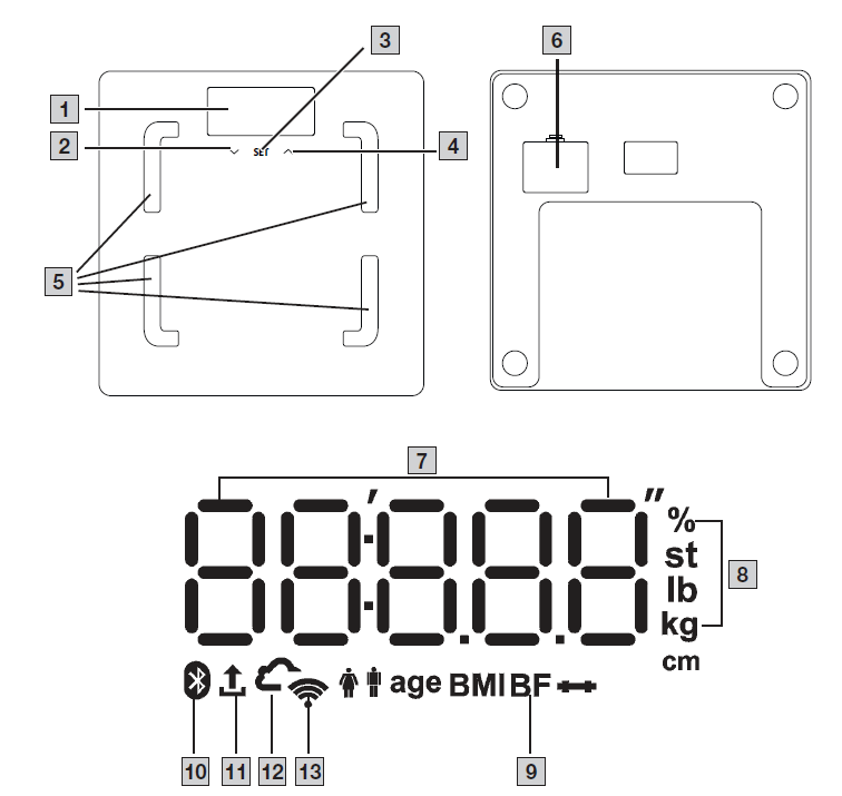 beurer_diagnostic_bathroom_scale_bf-880-overview.png