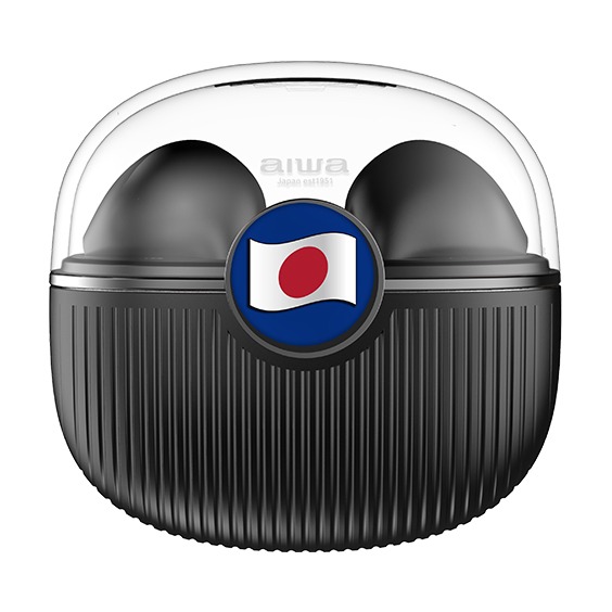 aiwa_at-x80u_true_wireless_earphones.jpg