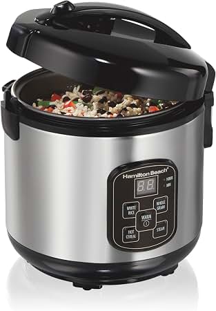 hamilton_beach_4450_food_steamer_rice_cooker.jpg